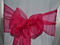 Organza Wedding Sashes